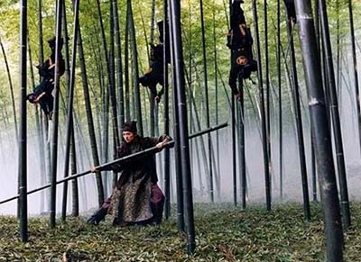 Bamboo Forest
